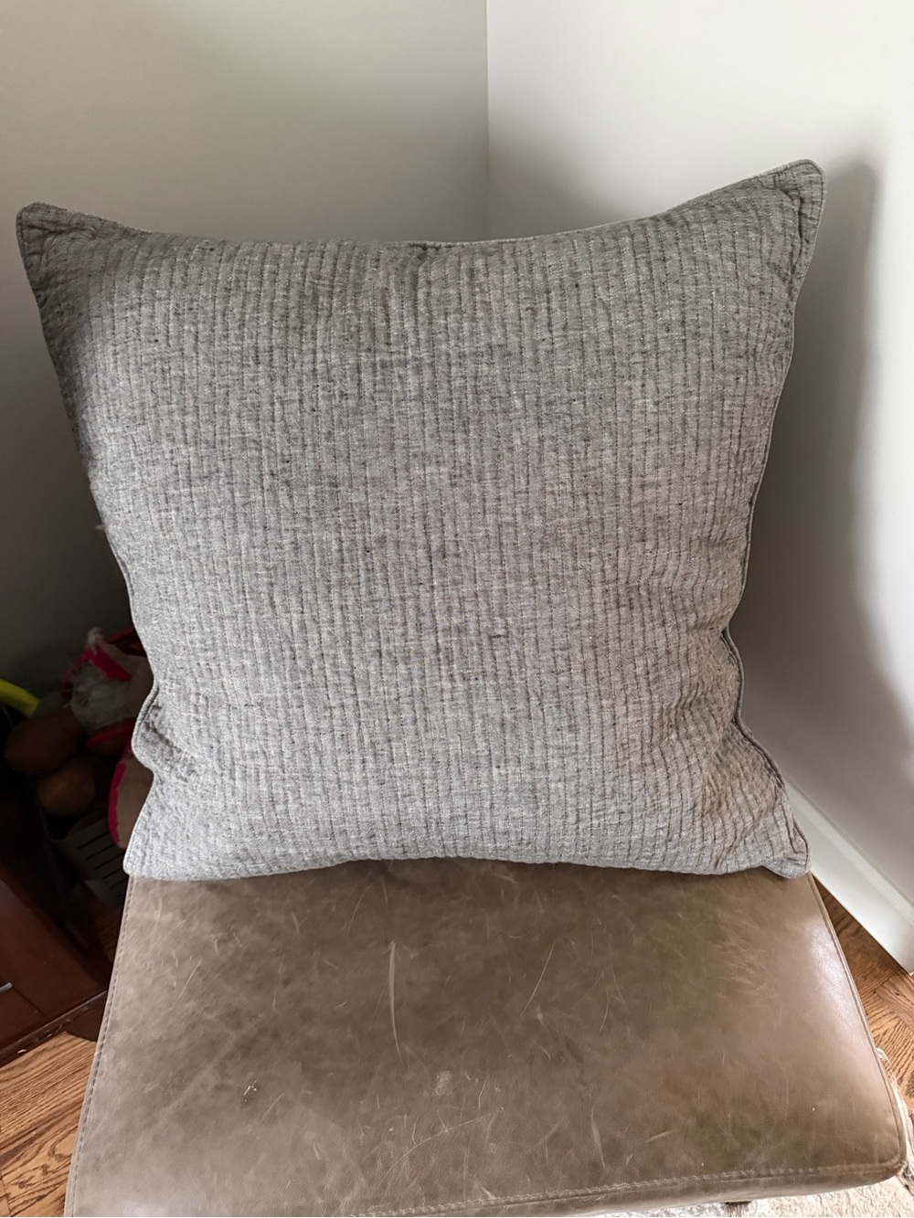 Restoration Hardware Euro Pillow Shams